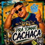GORDINHO SAFADO - PRA TOMAR CACHAÇA