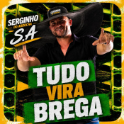 SERGINHO DO ARROCHA - TUDO VIRA BREGA