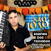 Zezinho dos Teclados Cd Novo São João 2025 - Promocional