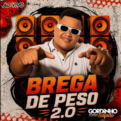 GORDINHO SAFADO