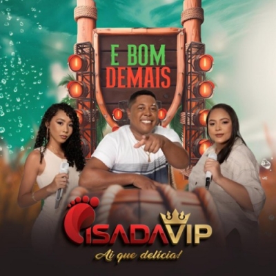 PISADA VIP CD NOVO 2026 - Promocional
