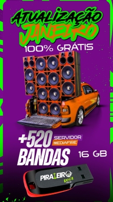 PEN DRIVE - CURTIR NO PAREDÃO 2026